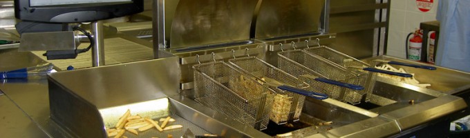 Stainless Steel Deep Fryer and Warming Station